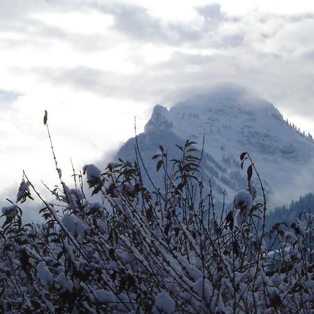 Studio Le Marquis 2 Morzine Buitenkant foto