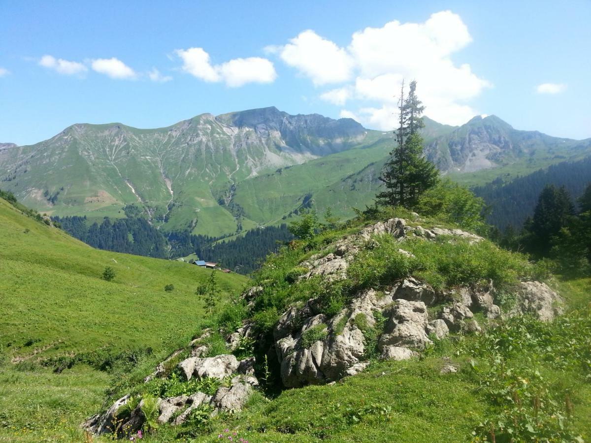 Studio Le Marquis 2 Morzine Buitenkant foto